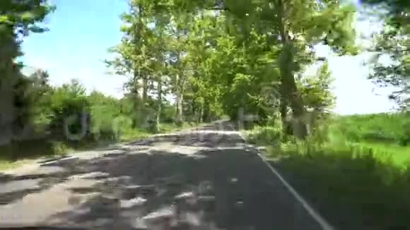 佐治亚州查拉迪迪村梧桐树间的道路视频的预览图