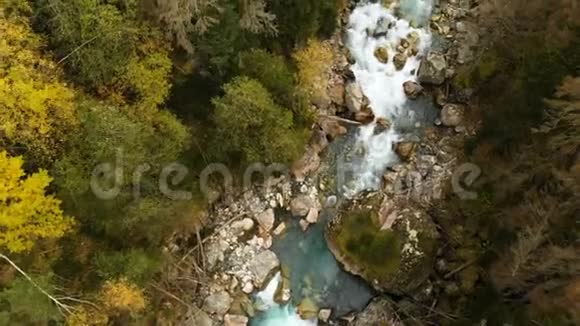 针叶秋林中流动的一条快速山河的俯视图纯山水中的天然视频的预览图