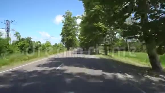 佐治亚州查拉迪迪村梧桐树间的道路视频的预览图