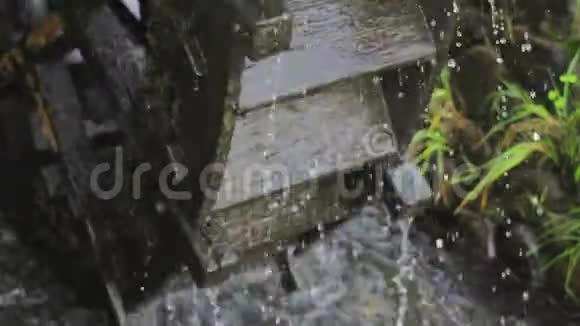 秋日晴天公园水磨视频的预览图