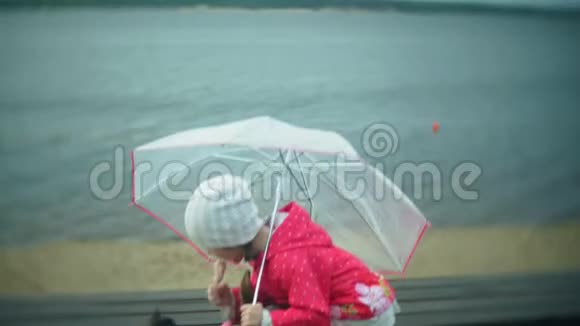 小女孩和猫带着雨伞在雨中玩耍吃着海岸上的冰淇淋视频的预览图