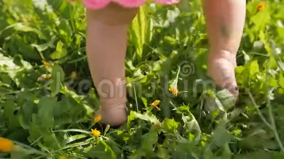 小宝宝学会走路动作缓慢夏天在绿草上迈出第一步幼儿正在学习户外散步视频的预览图