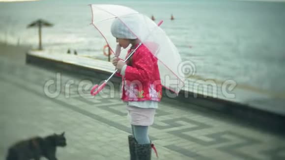 小女孩和猫带着雨伞在雨中玩耍吃着海岸上的冰淇淋视频的预览图