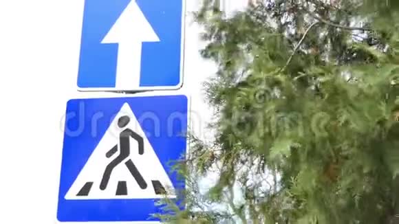 在一棵树附近看到两个交通标志主干道和十字路口视频的预览图
