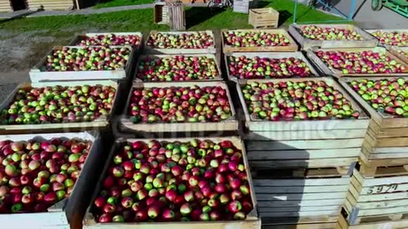 空中俯视图一年一度一年一度的木制容器装满成熟的红绿色美味苹果的盒子视频的预览图