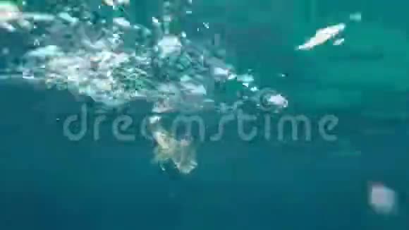一个漂浮在海里的塑料袋的特写海水里的垃圾塑料垃圾的环境污染视频的预览图