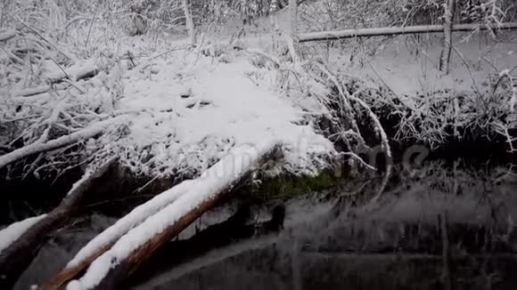 冬天森林里有倒下的树木的河流视频的预览图