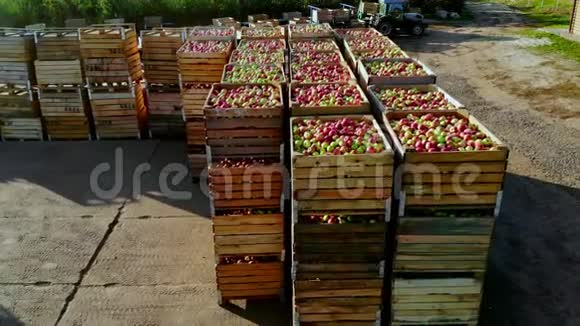 空中俯视图一年一度一年一度的木制容器装满成熟的红绿色美味苹果的盒子视频的预览图