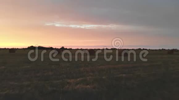 金色的多色日落在一个农场的田野和干草捆黄昏时分飞行的无人机飞过一片割草的麦田低键4k视频的预览图
