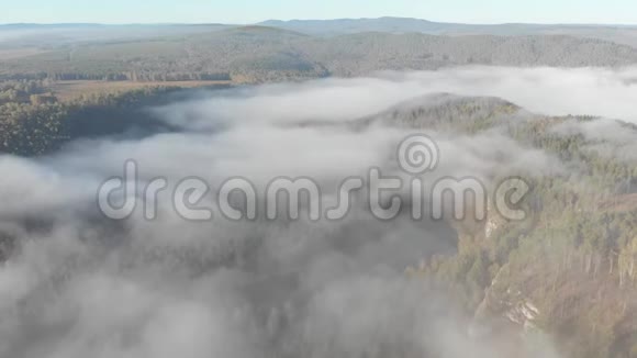 缓慢直飞过一条平缓的山河松林云雾啊河视频的预览图