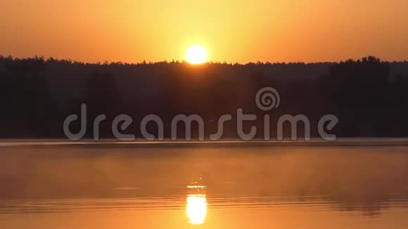 一个森林湖有轻微的薄雾光滑的水闪闪发光的表面在日落视频的预览图