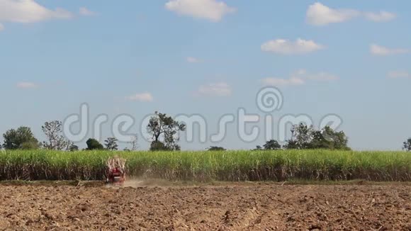甘蔗种植视频的预览图
