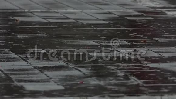 在雨天铺满方砖的人行道视频的预览图