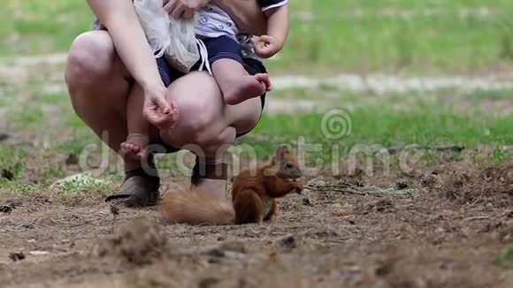 一个年轻的女人带着一个婴儿在懒洋洋的森林草坪上喂松鼠视频的预览图