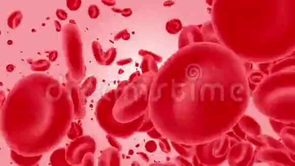 红细胞在动脉中移动通过静脉传播的血红蛋白细胞的3D动画视频的预览图