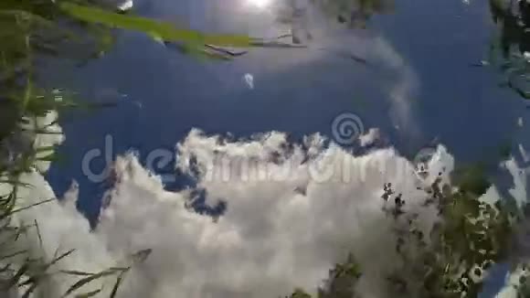 云和花的时间流逝视频的预览图