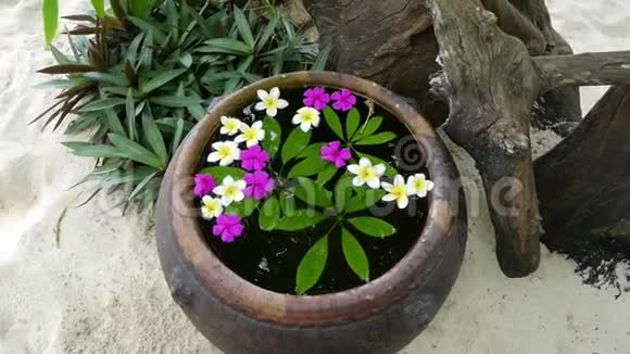 大花瓶里的水上放着许多白紫花日本禅宗花园放松平衡视频的预览图