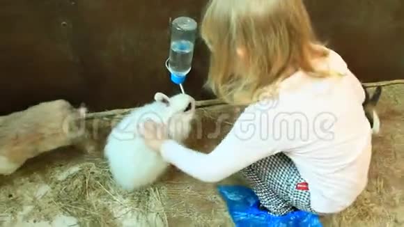 小女孩抚摸着动物园里饮料商给的兔子喝水视频的预览图