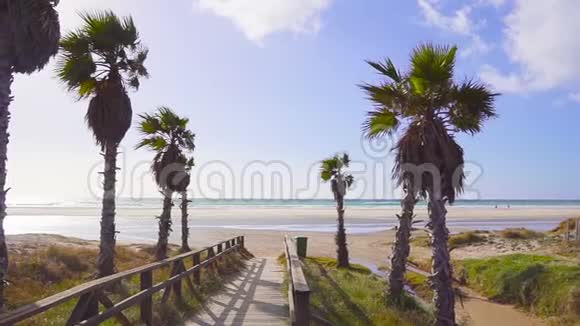 棕榈树的背景是海浪拍打在海面上西班牙视频的预览图