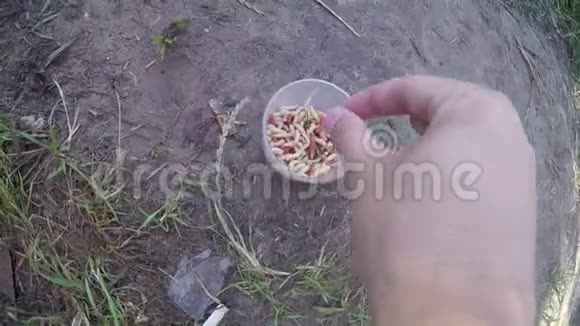 一只手从碗里拿了一些带虫的活海绵来钓鱼视频的预览图