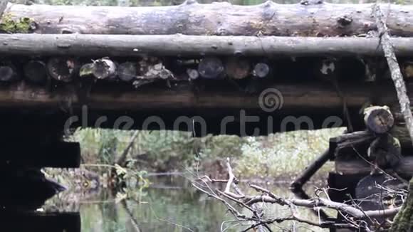 木材公路穿过森林小河的运输公路上的木桥视频的预览图