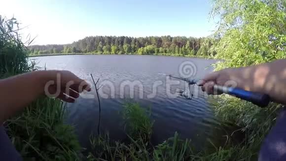 夏天两条钓线用芦苇在湖岸钓鱼视频的预览图