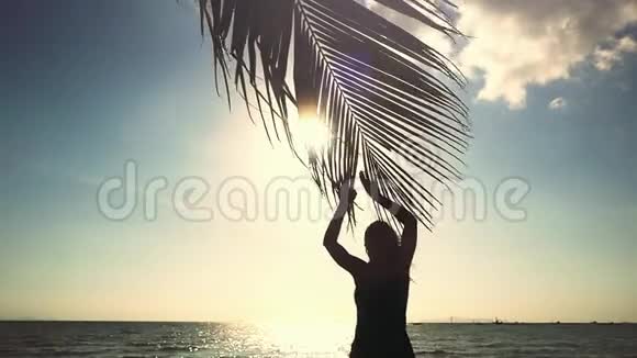 幸福的年轻女子抚摸着棕榈叶和太阳享受明亮的热带阳光的女人慢镜头闪光效果视频的预览图