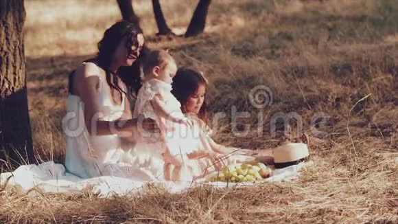 一位年轻的母亲和两个女儿在野餐时休息视频的预览图