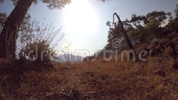 青年游客背着背包在山间小径散步背景是美丽的自然景观男性徒步旅行者视频的预览图