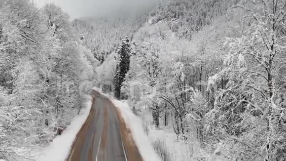 阴天冬季森林中道路的鸟瞰图一条美丽的冬季道路在云杉和松树的大自然中视频的预览图