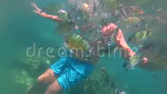 人与珊瑚鱼一起游泳海鱼中士Abudefduf性筋膜水下景观视频的预览图