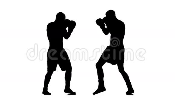 男子拳击手训练拳打脚踢轮廓视频的预览图