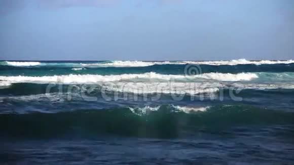 风日的宁静之海视频的预览图