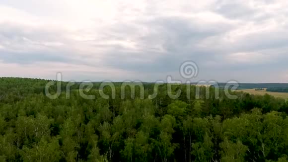 从空中俯瞰克拉斯诺亚尔斯克领土的田野森林和道路俄罗斯视频的预览图