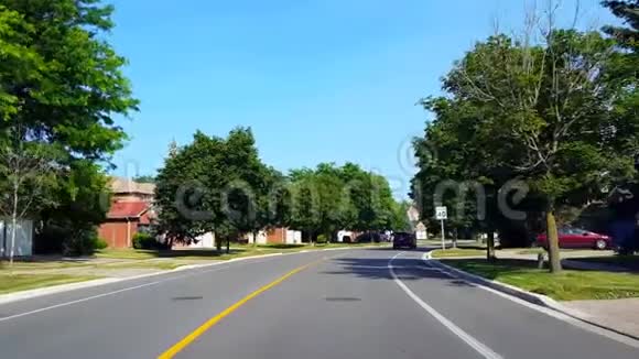 夏季白天驾驶树木茂盛的住宅城市道路司机的观点沿美丽的阳光街道视频的预览图