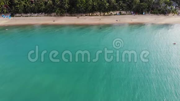 带棕榈的蓝色泻湖和沙滩可在沙滩上观看蓝色泻湖和太阳床椰棕和视频的预览图