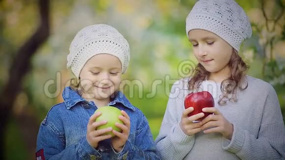 两个小女孩在盛开的公园里吃红绿苹果视频的预览图