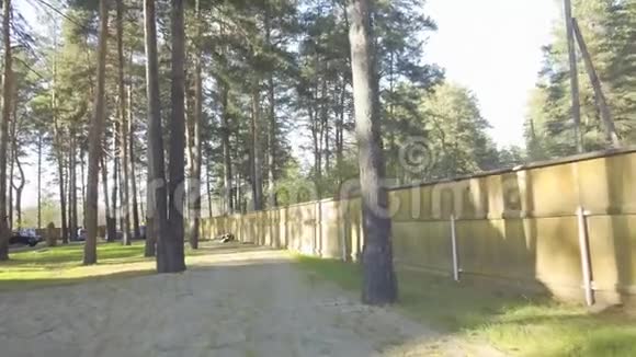森林周围休息的旧木屋录像树木背景自然视频的预览图