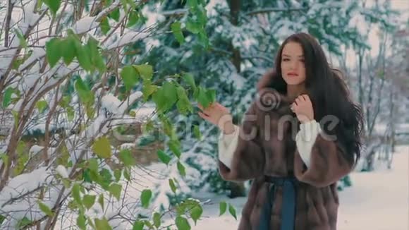 冬天绿树旁的布鲁内特时髦女孩穿着棕色毛皮外套动作缓慢视频的预览图