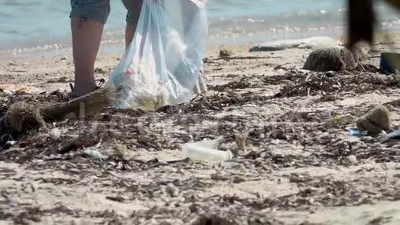 环保义工在海岸收集垃圾至胶袋环境污染及循环再造概念视频的预览图