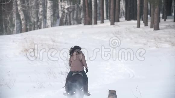 女骑手骑着黑马穿过雪地狗在附近奔跑动作缓慢视频的预览图