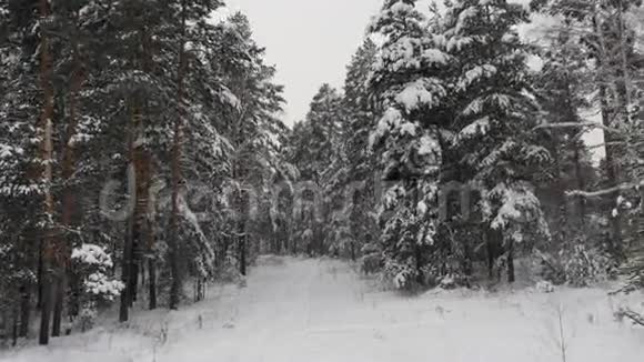 白雪公主中的小路视频的预览图