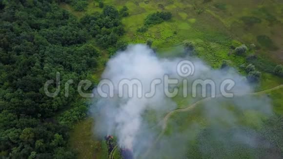 从燃烧的绿野无人驾驶飞机拍摄的空中镜头自然景观中的野火在烟雾中飞行视频的预览图