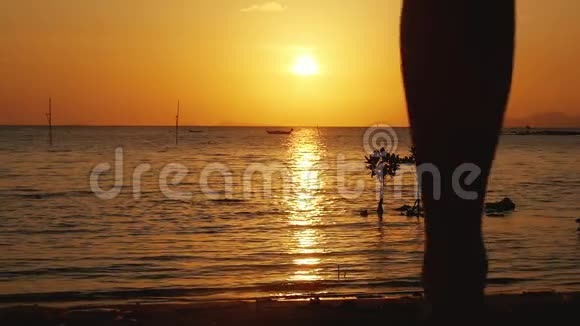 浪漫的一对夫妇牵着手在令人惊叹的日落中奔向海滩一起度假玩得开心慢动作视频的预览图