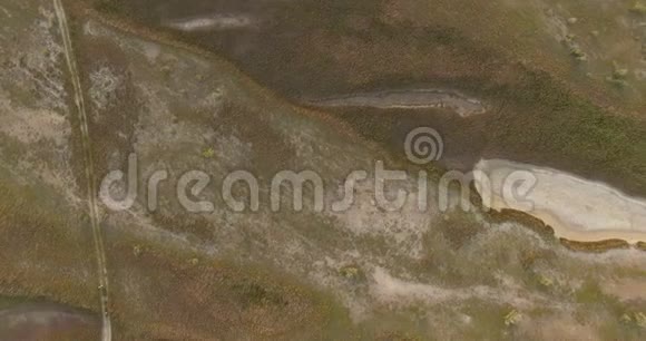 黑海海岸绿褐湿地与苔藓的空中拍摄视频的预览图