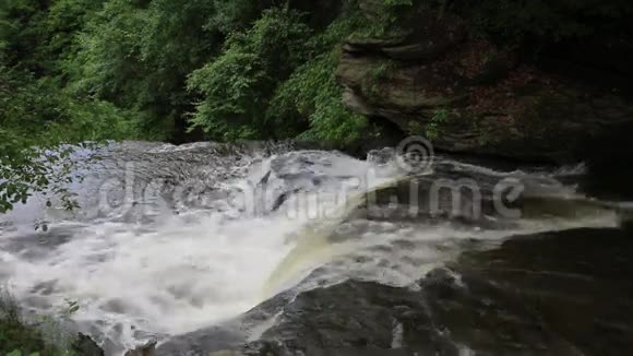 狼溪上的瀑布视频的预览图