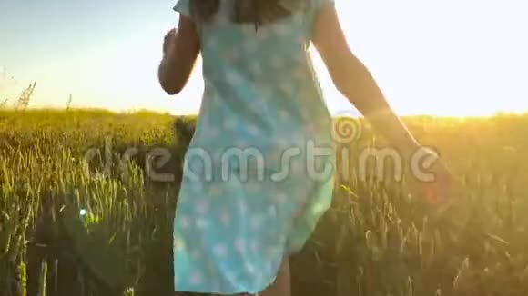 美丽的女孩戴着黄色的帽子在日落的天空上的绿色麦田上奔跑自由概念日落时的麦田视频的预览图