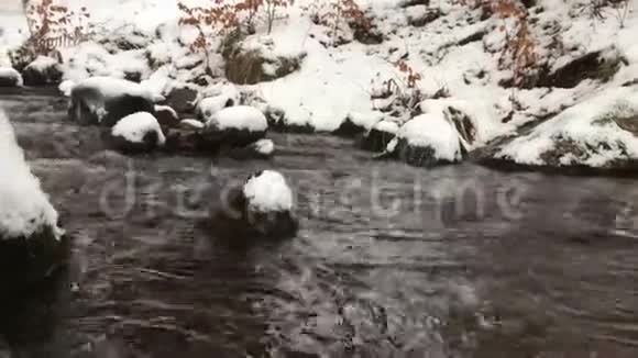 冬天的小河浸泡在水里的视频视频的预览图