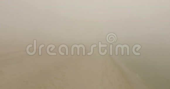 Dzharylhach岛一个弯曲的沙棘在薄雾天气中的空中拍摄视频的预览图