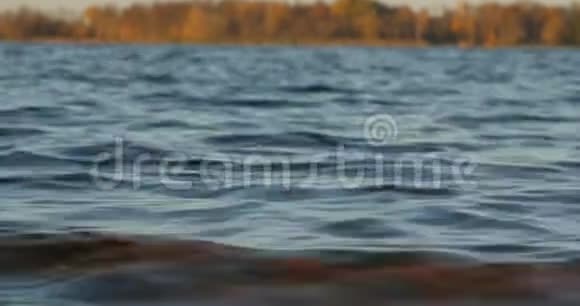 湖景和低岸的波浪视频的预览图